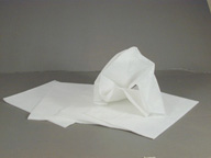 Cloth
